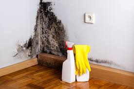 Why You Should Choose Our Mold Remediation Services in West Milwaukee, WI